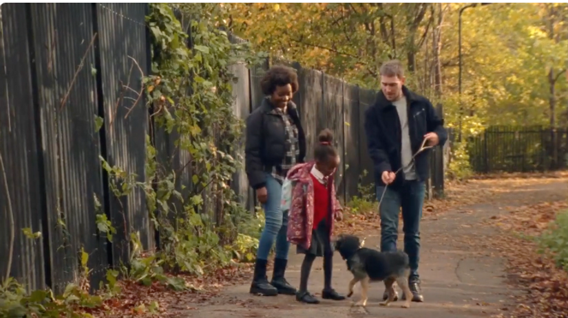 DOGS TRUST | Nicolas Jack Davies